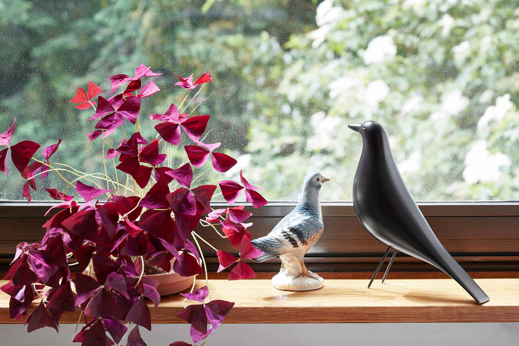 Designobjekt Vogel Eames House bird von vitra im LHL Onlineshop kaufen. Ausfuehrung schwarz am Fenster